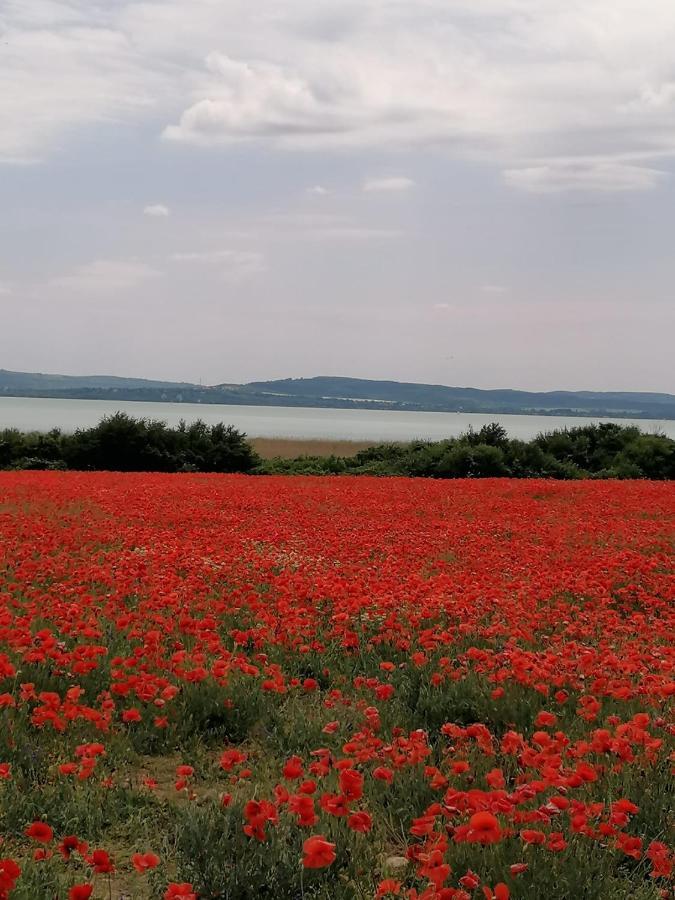 Aszofoi Panorama Apartmanhaz 외부 사진
